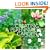 Creating a Perennial Garden in the Midwest