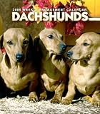 Dachshunds Weekly 2006 Calendar