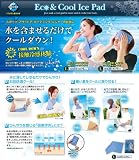 【電気代0円】体感‐6℃の超速攻冷寒！水に浸すだけで速効ひんやりアイスパッド『ＥＣＯ＆ＣＯＯL　アイスパッドＬ　２枚セット』 電気代