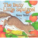 The Busy Little Squirrel