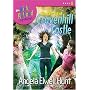 The Secret of Cravenhill Castle (The Nicki Holland Mystery Series #8)