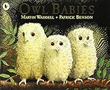 Owl babies