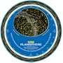 Planisphere (Astronomy)