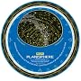 Planisphere: Latitude 35 degrees - Australia, New Zealand, Southern Africa & Southern America: Shows the Position of the Stars and Constellations for Every Night of the Year (Philip's Astronomy)