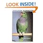 Amazon Parrots