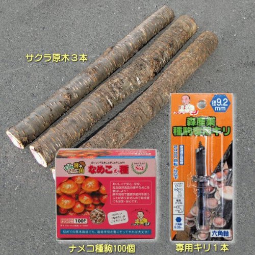 なめこ種駒・キリ・原木３本セット