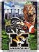 Missouri Tigers 48x60 Home Field Advantage Tapestry Throw