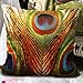 Fablegent0174; XH4 - Elegant Decorative Throw Pillow Cover - Peacock Feathers Design on Both Sides
