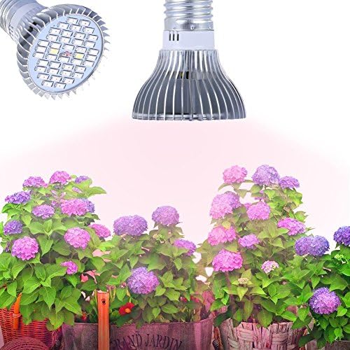 BOSSLED Full Spectrum Led Grow Light, E27 Base Growing Bulbs, 40pcs SMD 5730 Chips, Growing Lamp for Indoor Plants Hydroponic Aquatic Garden Greenhouse, Medical Plants Vegetables &amp; Herbs(30W)