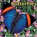 Search : Butterflies 2009 Wall Calendar