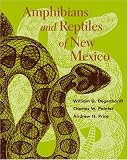Books : Amphibians and Reptiles of New Mexico
