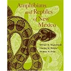 Amphibians and Reptiles of New Mexico by William G. Degenhardt, Charles W. Painter, Andrew H. Price, and Roger Conant