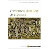 Cernunnos, dieu Cerf des Gaulois