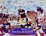 1985 Super Bowl XX Champion Chicago Chicago Bears Team Signed 16x20 Collage Photograph with o Duerson or Hartenstine