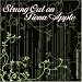 Music : Strung Out on Fiona Apple: A String Quartet Tribute