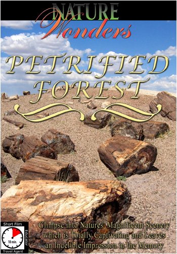 TravelVideoStore.com 