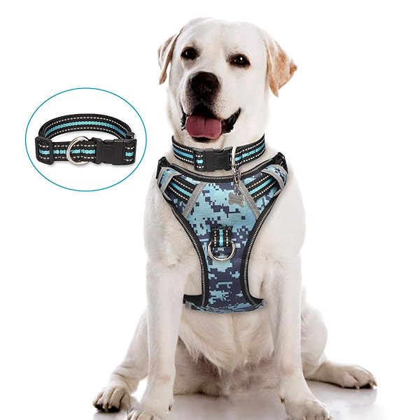 camo dog harness with handle