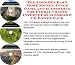 The Insider's Earn More Money, Inner Game and eCommerce for Floral Crafts Internet Businesses 3 CD Power Pack