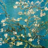 Almond Branches in Bloom, 1890 von Vincent van Gogh, 72x72