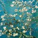 Almond Branches in Bloom, San Remy, c.1890 Art Poster Print by Vincent van Gogh, 28x28