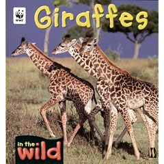 Giraffes (In The Wild)
