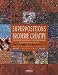 Superpositions en broderie creative : Broderie machine contemporaine, applications et volumes