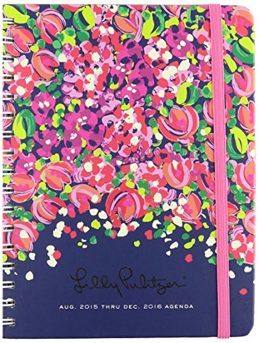 17 Month Large Agenda, Wild Confetti