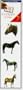 Horses (DK Stickers, Tattoo Strip)
