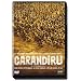Filme zu Brasilien