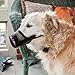 Best Fit Dog Muzzle Size: 3