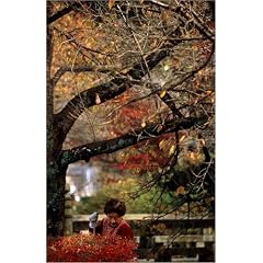 Poster 20 x 30 cm - "Woman sweeping, Path of Philosophy." von Phil Weymouth / Lonely Planet Images - auch in anderen Gr��en und als Leinwandbild erh�ltlich