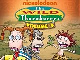 play video on Amazon Prime