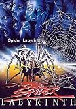 Spider Labyrinth