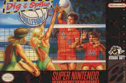 Childrens Toyshop  Video Games : Dig & Spike V Ball