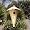 Hanging Stoneware Cone Birdhouse - Handthrown Pottery, 2-piece, Butternut Color
