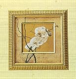 Framed 8X8 White Orchid Print