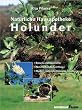 Holunder