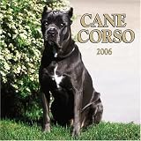 Cane Corso 2006 Wall Calendar
