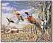 High Field Flush Throw - 53 x 70 Blanket/Throw