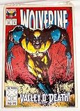 Review Marvel Comics  / Wolverine 30 Years X-MEN 1963-1993 (Valley O' Death)