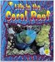 Life in the Coral Reef (Crabapples)