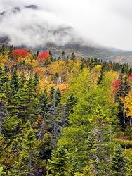 Autumn Splendor in Baxter State Park, Maine - Spectacular 16x20 Photographic Print by Brendan Reals