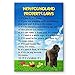 Newfoundland Property Laws Fridge Magnet No 1 (Brown) Funny
