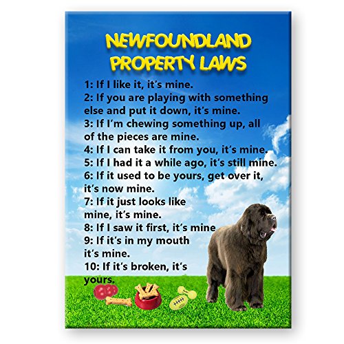 Newfoundland Property Laws Fridge Magnet No 1 (Brown) Funny