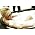 Thumbnail image of Melody Gardot