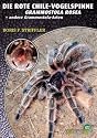 Die Rote Chile-Vogelspinne + andere Grammostola-Arten: Grammostola rosea