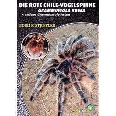 Die Rote Chile-Vogelspinne + andere Grammostola-Arten: Grammostola rosea