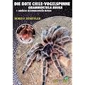 Die Rote Chile-Vogelspinne + andere Grammostola-Arten: Grammostola rosea