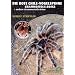Die Rote Chile-Vogelspinne + andere Grammostola-Arten: Grammostola rosea