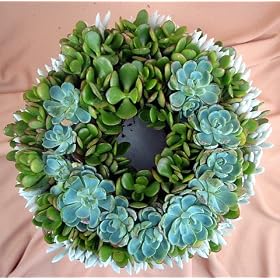 Living Wreath Centerpiece - Unique Easy to Grow! by 